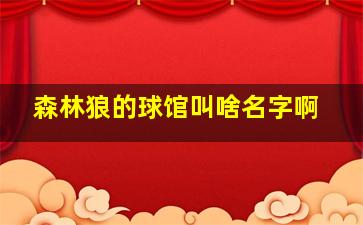 森林狼的球馆叫啥名字啊