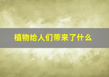 植物给人们带来了什么