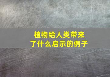 植物给人类带来了什么启示的例子