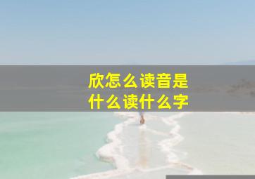 欣怎么读音是什么读什么字