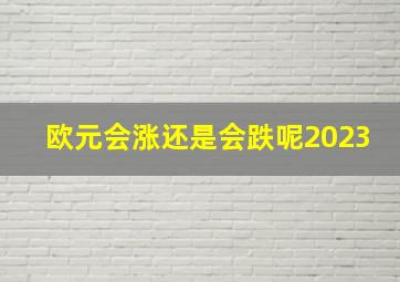 欧元会涨还是会跌呢2023