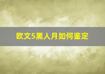 欧文5黑人月如何鉴定