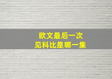 欧文最后一次见科比是哪一集