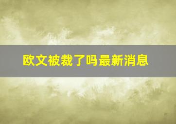 欧文被裁了吗最新消息