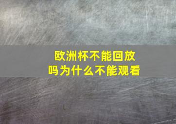 欧洲杯不能回放吗为什么不能观看