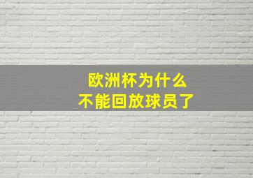 欧洲杯为什么不能回放球员了