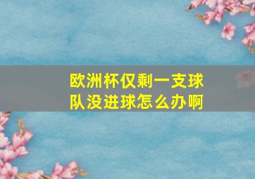 欧洲杯仅剩一支球队没进球怎么办啊