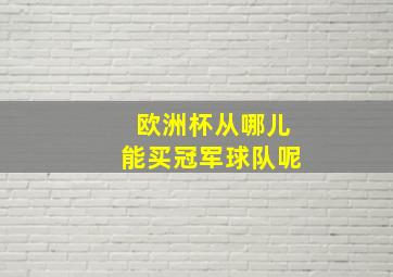 欧洲杯从哪儿能买冠军球队呢