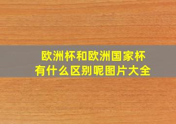 欧洲杯和欧洲国家杯有什么区别呢图片大全