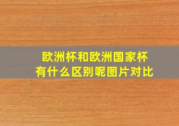 欧洲杯和欧洲国家杯有什么区别呢图片对比