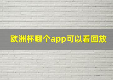 欧洲杯哪个app可以看回放