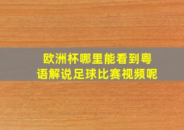 欧洲杯哪里能看到粤语解说足球比赛视频呢