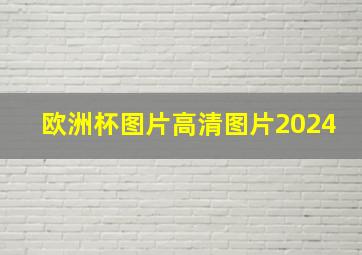 欧洲杯图片高清图片2024