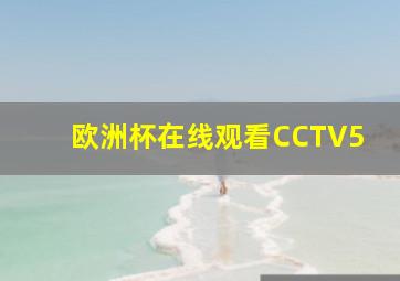 欧洲杯在线观看CCTV5