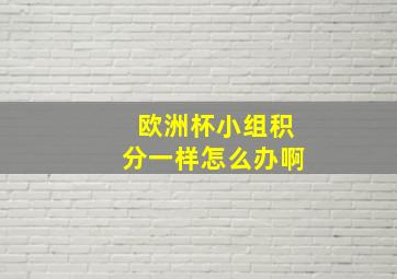 欧洲杯小组积分一样怎么办啊