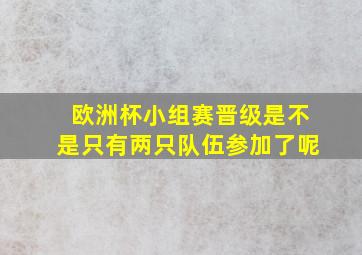 欧洲杯小组赛晋级是不是只有两只队伍参加了呢