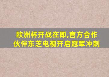 欧洲杯开战在即,官方合作伙伴东芝电视开启冠军冲刺