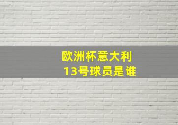 欧洲杯意大利13号球员是谁