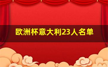 欧洲杯意大利23人名单