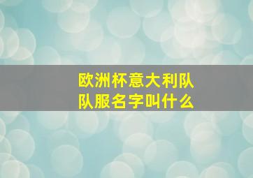 欧洲杯意大利队队服名字叫什么