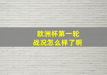 欧洲杯第一轮战况怎么样了啊