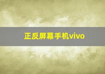 正反屏幕手机vivo