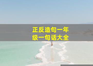 正反造句一年级一句话大全