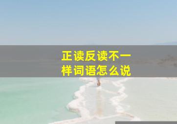 正读反读不一样词语怎么说