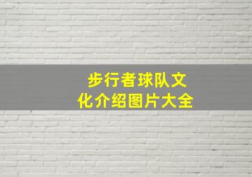 步行者球队文化介绍图片大全