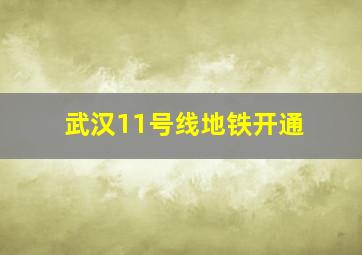 武汉11号线地铁开通