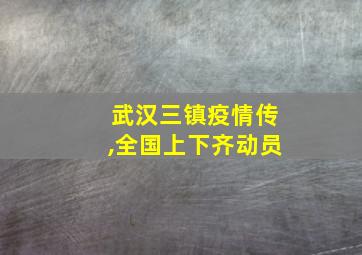 武汉三镇疫情传,全国上下齐动员