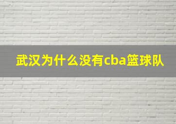 武汉为什么没有cba篮球队