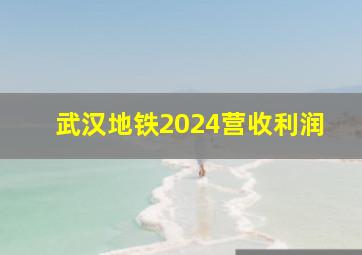 武汉地铁2024营收利润