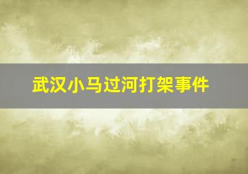 武汉小马过河打架事件