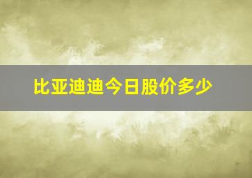 比亚迪迪今日股价多少