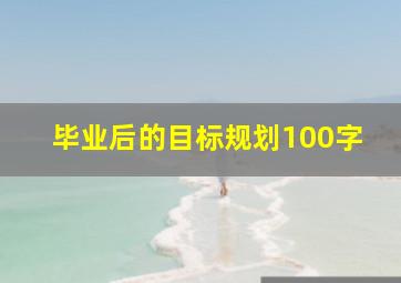 毕业后的目标规划100字