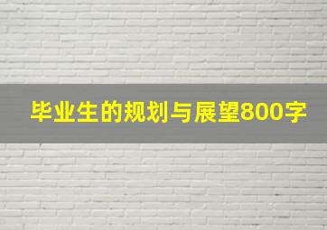 毕业生的规划与展望800字