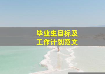 毕业生目标及工作计划范文