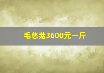 毛慈菇3600元一斤