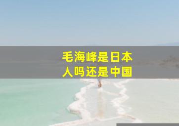 毛海峰是日本人吗还是中国