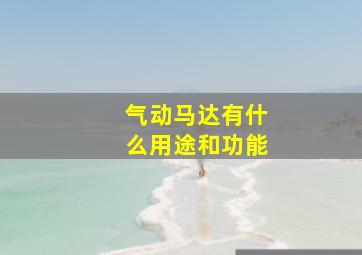 气动马达有什么用途和功能