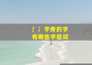 氵冫字旁的字有哪些字组词