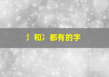 氵和冫都有的字