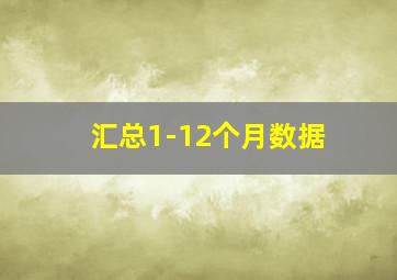 汇总1-12个月数据