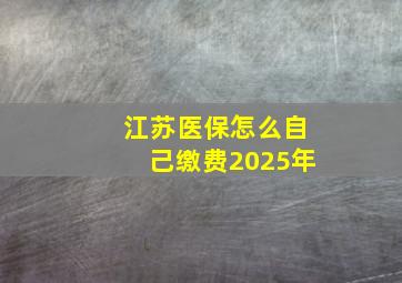 江苏医保怎么自己缴费2025年