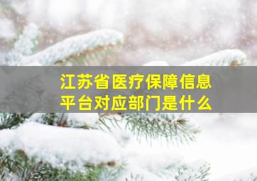 江苏省医疗保障信息平台对应部门是什么