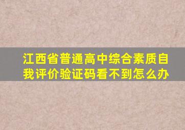 江西省普通高中综合素质自我评价验证码看不到怎么办