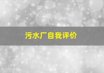 污水厂自我评价