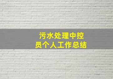 污水处理中控员个人工作总结