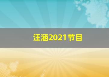 汪涵2021节目